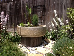 lily pond container