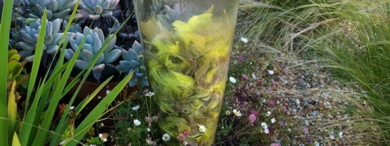 recycled bird bath made with platter