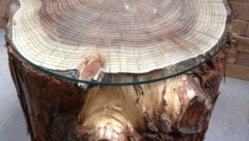 Tree stump table with glass top