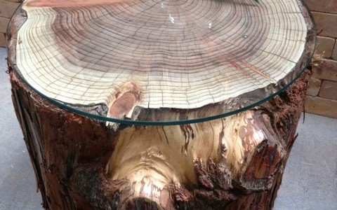 Tree stump table with glass top