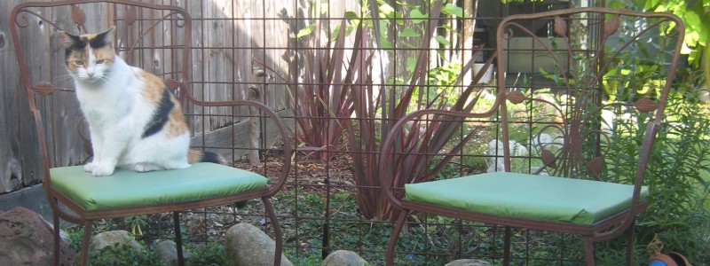 wrought ironl chairs